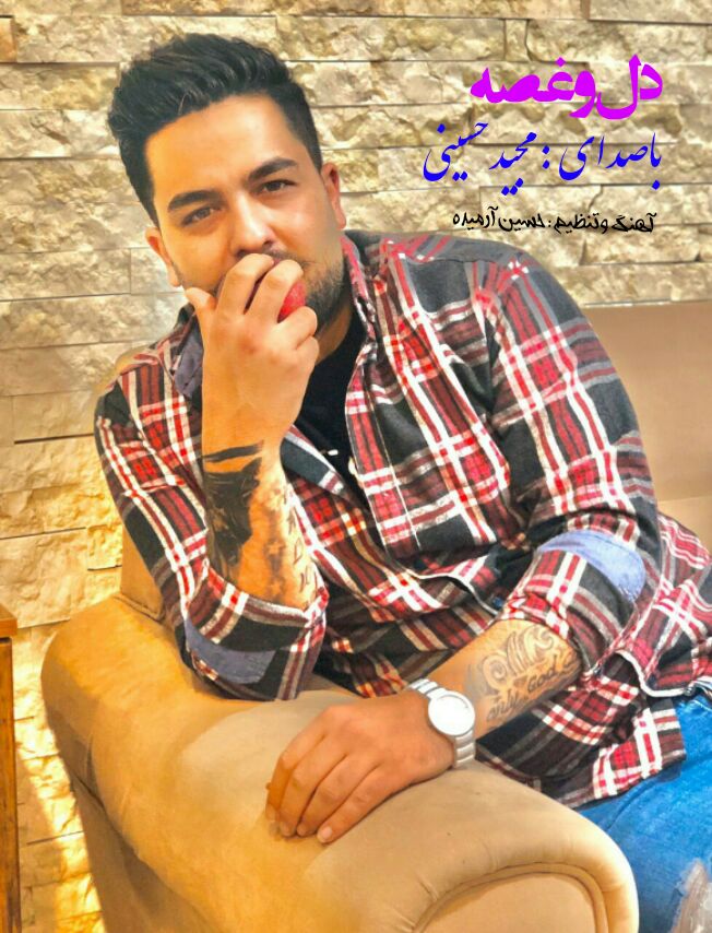 مجید حسینی دل و غصه